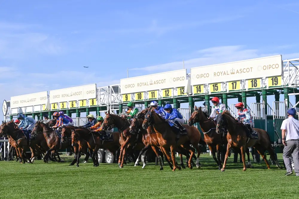 Ascot race days 2025